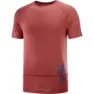 Salomon Cross Run Graphic Kurzarm-t-shirt male, Cabernet / dark denim / heather
