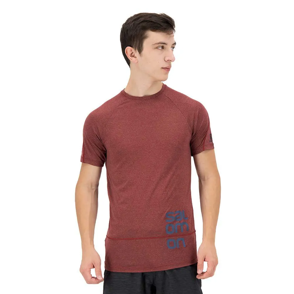 Salomon Cross Run Graphic Kurzarm-t-shirt male, Cabernet / dark denim / heather