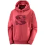 Salomon Outlife Kapuzenpullover, Earth red