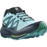 Salomon Pulsar Trail Trailrunning-schuhe male
