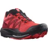 Salomon Pulsar Trailrunning-schuhe male