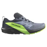 Salomon Sense Ride 5 Goretex Trailrunning-schuhe male