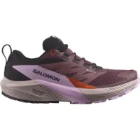 Salomon Sense Ride 5 Goretex Trailrunning-schuhe male