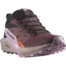 Salomon Sense Ride 5 Goretex Trailrunning-schuhe male
