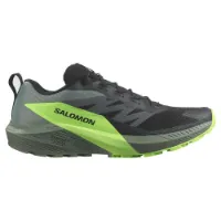 Salomon Sense Ride 5 Sneakers AW24 Damen Salomon Sense Ride 5 Sneakers AW24 Damen