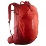 Red dahlia / high risk red