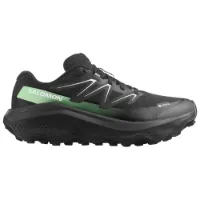 Salomon Ultra Flow 2 Goretex Trailrunning-schuhe female