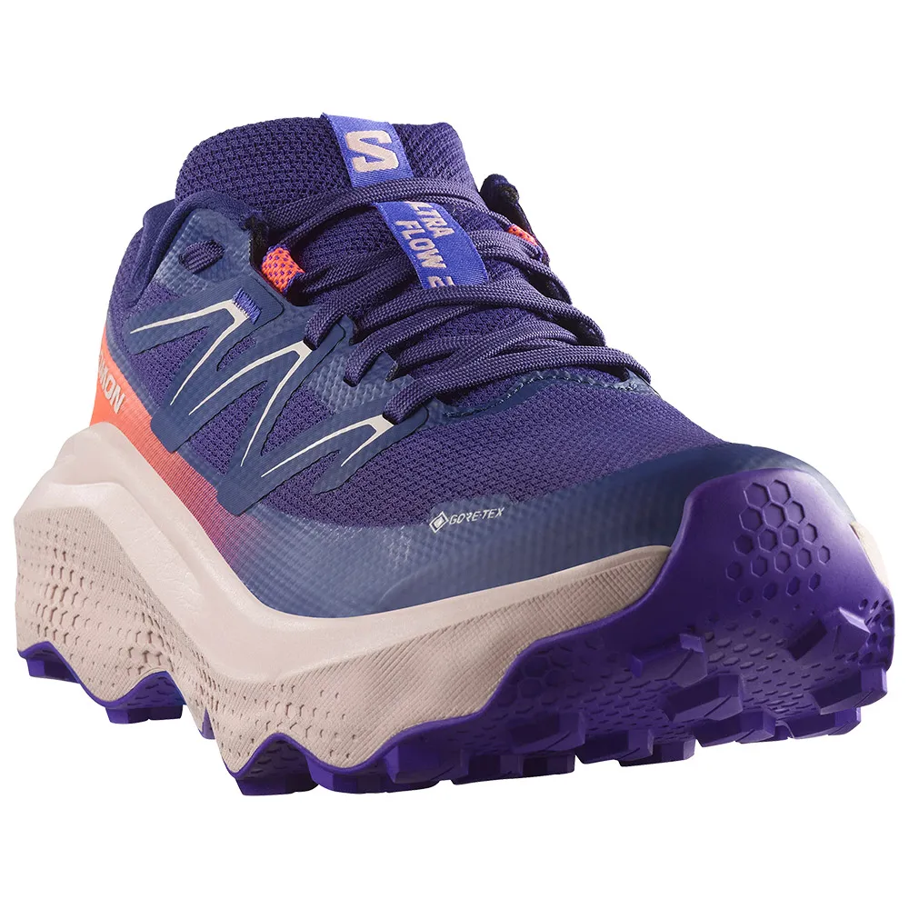 Salomon Ultra Flow 2 Goretex Trailrunning-schuhe male