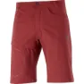 Salomon Wayfarer Kurze Hose