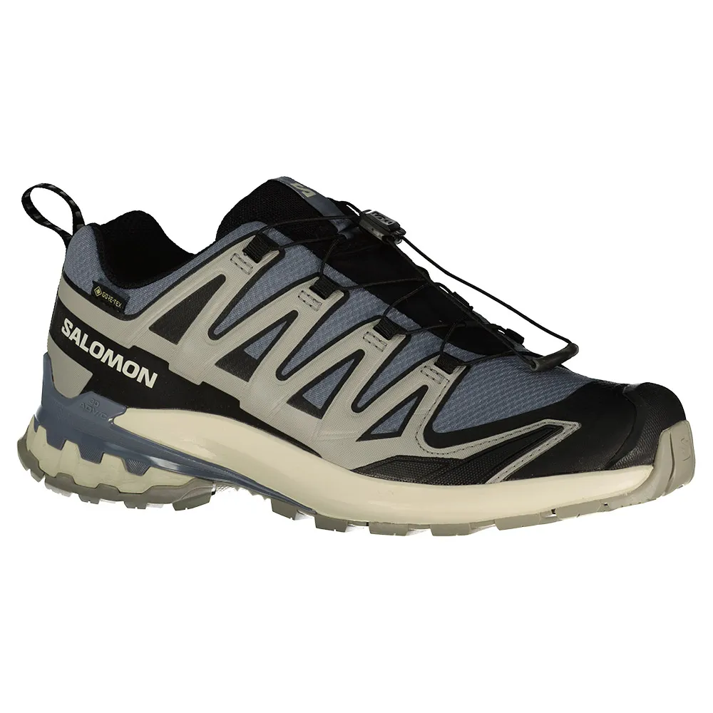 Salomon X Ultra 360 Goretex Wanderschuhe