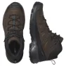 Salomon X Ultra 360 Ltr Mid Goretex Wanderstiefel