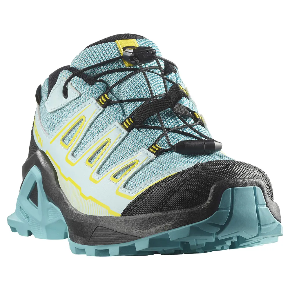 Salomon X Ultra Goretex Wanderschuhe Salomon X Ultra Goretex Wanderschuhe