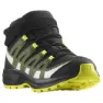 Salomon Xa Pro V8 Mid Cs Wp Wanderstiefel
