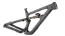 Salsa Blackthorn Frameset Raw Diamant