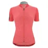 Grenadine 1