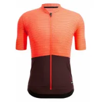 Santini Colore Riga Kurzarm-radtrikot Santini Colore Riga Kurzarm-radtrikot