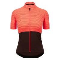 Santini Colore Riga Kurzarm-radtrikot Santini Colore Riga Kurzarm-radtrikot
