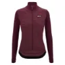 Burgundy 2