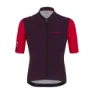 Santini Redux Vigor Kurzarm-radtrikot