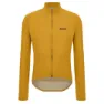 Ocher
