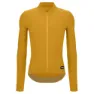 Ocher
