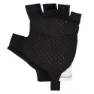 Santini Uci World Champion 2025 Kurze Handschuhe