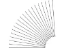 Sapim Leader J-Bend Speichen + Nippel - 20 Stück, Grau, 296mm