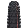 Schwalbe Albert Evolution Gravity Radial ADDIX Soft TLR 29" Faltreifen