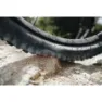 Schwalbe Albert Evolution Gravity Radial ADDIX Soft TLR 29" Faltreifen