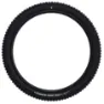 Schwalbe Albert Evolution Gravity Radial ADDIX Soft TLR 29" Faltreifen