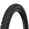 Schwalbe Albert Evolution Gravity Radial ADDIX Soft TLR 29" Faltreifen