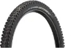 Schwalbe Albert Evolution Gravity Radial ADDIX Soft TLR 29" Faltreifen