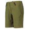 Fir green 2