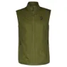 Fir green