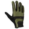 Fir green