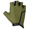 Fir green