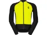 Black-sulphur yellow