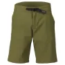 Fir green 2