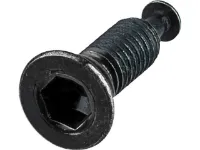 Shimano Befestigungsschraube VR/HR Typ B für Flat Mount Shimano Befestigungsschraube VR/HR Typ B für Flat Mount