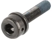 Shimano Befestigungsschrauben für Scheibenbremsadapter Flat Mount auf PM Shimano Befestigungsschrauben für Scheibenbremsadapter Flat Mount auf PM