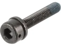 Shimano Befestigungsschrauben für Scheibenbremsadapter Flat Mount auf PM Shimano Befestigungsschrauben für Scheibenbremsadapter Flat Mount auf PM