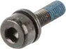 Shimano Befestigungsschrauben für Scheibenbremsadapter Flat Mount auf PM
