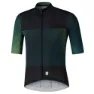 Shimano Breakaway Kurzarm-radtrikot, Green