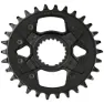 Shimano Deore M6100 12s Kettenblatt