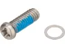 Shimano Druckpunkt-Einstellschraube für BL-M785-B / BL-M8000 / BL-M8100, One_size