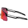 Shimano Equinox 5 Rd Sonnenbrille