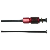 Shimano Gerade Strahlen WH-RS81-C35-CL-R Unisex