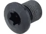 Shimano Kettenblattschrauben 4-Arm GRX FC-RX810 / FC-RX820, Schwarz, one_size