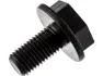 Shimano Kurbelschraube für BB-UN55 Vierkant Innenlager, Schwarz, one_size
