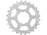 Shimano Ritzel für SLX CS-M7000-11 11-fach